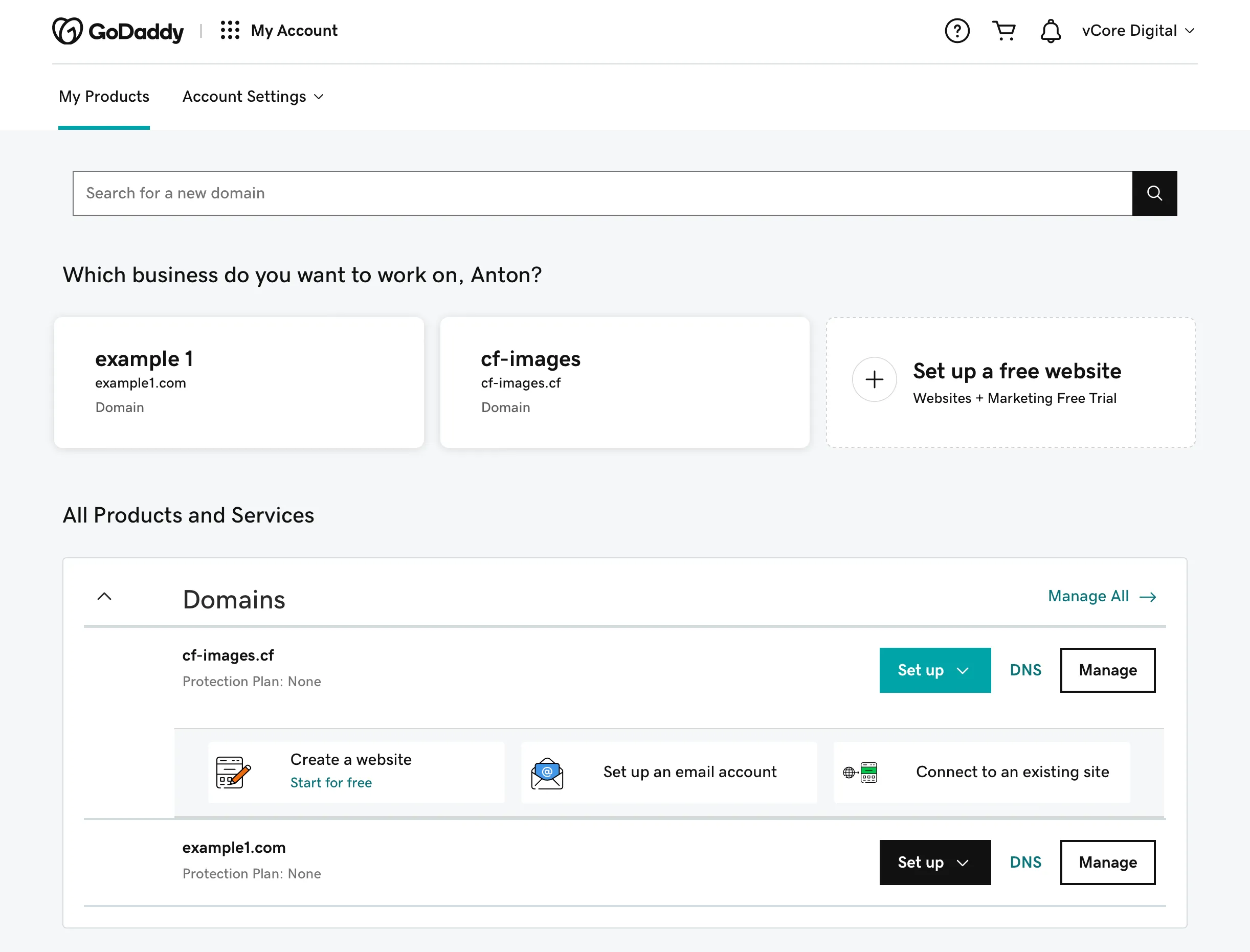 GoDaddy - Account Page